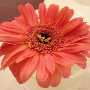 flower_blog